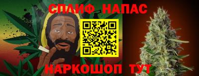 дмт Пенза