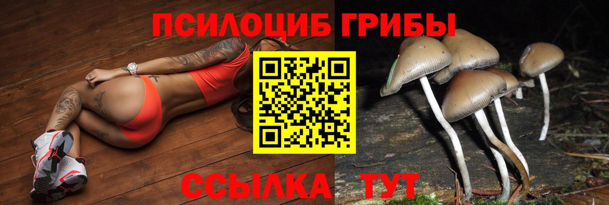 Псилоцибиновые грибы Cubensis Ростов Великий